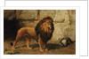 A Lion Guarding his Den, 1886 by George Goodwin Jnr Kilburne