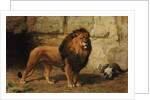 A Lion Guarding his Den, 1886 by George Goodwin Jnr Kilburne