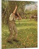 Shaking Down Cider Apples by Henry Herbert La Thangue