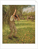Shaking Down Cider Apples by Henry Herbert La Thangue