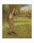 Shaking Down Cider Apples by Henry Herbert La Thangue