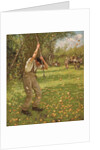 Shaking Down Cider Apples by Henry Herbert La Thangue