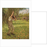 Shaking Down Cider Apples by Henry Herbert La Thangue