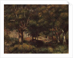 Woodland Landscape by Pierre Auguste Renoir