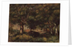 Woodland Landscape by Pierre Auguste Renoir