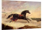 Arabs chasing a loose arab horse in an eastern landscape by John Frederick Herring Snr