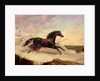 Arabs chasing a loose arab horse in an eastern landscape by John Frederick Herring Snr