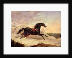 Arabs chasing a loose arab horse in an eastern landscape by John Frederick Herring Snr