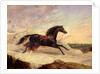 Arabs chasing a loose arab horse in an eastern landscape by John Frederick Herring Snr