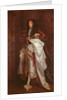 Portrait of Prince Rupert in Garter Robes by Peter Lely