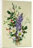 Spray of Dogrose, Holly, Mistletoe and Larkspur by Albert Williams