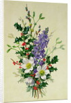 Spray of Dogrose, Holly, Mistletoe and Larkspur by Albert Williams