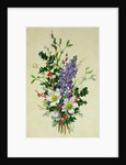 Spray of Dogrose, Holly, Mistletoe and Larkspur by Albert Williams