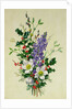 Spray of Dogrose, Holly, Mistletoe and Larkspur by Albert Williams