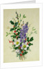Spray of Dogrose, Holly, Mistletoe and Larkspur by Albert Williams