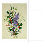 Spray of Dogrose, Holly, Mistletoe and Larkspur by Albert Williams