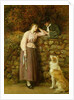 Effie Deans, 1877 by John Everett Millais