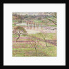 The Flood at Eragny, 1893 by Camille Pissarro