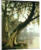 In the Bayou by Joseph Rusling Meeker