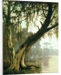 In the Bayou by Joseph Rusling Meeker