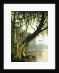 In the Bayou by Joseph Rusling Meeker