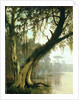 In the Bayou by Joseph Rusling Meeker