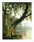 In the Bayou by Joseph Rusling Meeker
