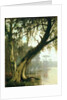 In the Bayou by Joseph Rusling Meeker