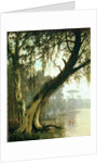 In the Bayou by Joseph Rusling Meeker