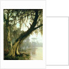 In the Bayou by Joseph Rusling Meeker