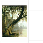 In the Bayou by Joseph Rusling Meeker