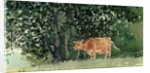 Cow in Pasture, 1878 by Winslow Homer