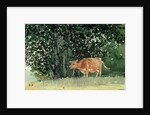 Cow in Pasture, 1878 by Winslow Homer