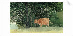 Cow in Pasture, 1878 by Winslow Homer