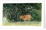 Cow in Pasture, 1878 by Winslow Homer
