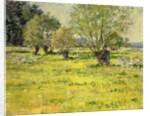 Springtime, 1892 by Theodore Robinson