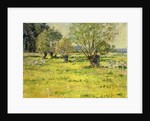 Springtime, 1892 by Theodore Robinson