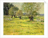 Springtime, 1892 by Theodore Robinson