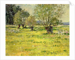 Springtime, 1892 by Theodore Robinson