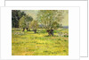 Springtime, 1892 by Theodore Robinson