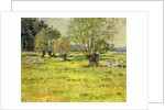 Springtime, 1892 by Theodore Robinson