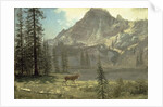 Call of the Wild by Albert Bierstadt