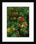 Pomegranates, Majorca, c.1908 by John Singer Sargent