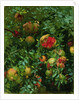 Pomegranates, Majorca, c.1908 by John Singer Sargent