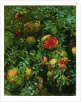Pomegranates, Majorca, c.1908 by John Singer Sargent