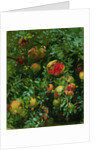Pomegranates, Majorca, c.1908 by John Singer Sargent