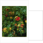 Pomegranates, Majorca, c.1908 by John Singer Sargent