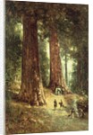 In the Redwoods, 1899 by Thomas Hill