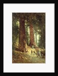 In the Redwoods, 1899 by Thomas Hill