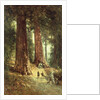 In the Redwoods, 1899 by Thomas Hill